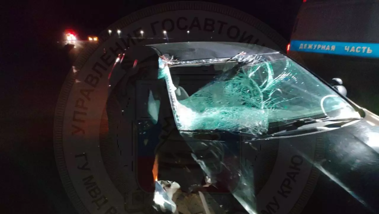 В Прикамье ночью 6 апреля автомобиль» Хендай Солярис» насмерть сбил пешехода