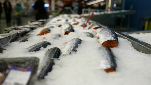 В российских магазинах подорожал норвежский лосось после транзита через Белоруссию
