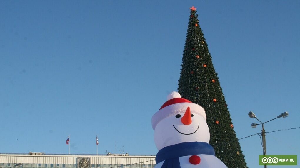 Власти Перми купят новогоднюю елку за 9,4 миллиона рублей