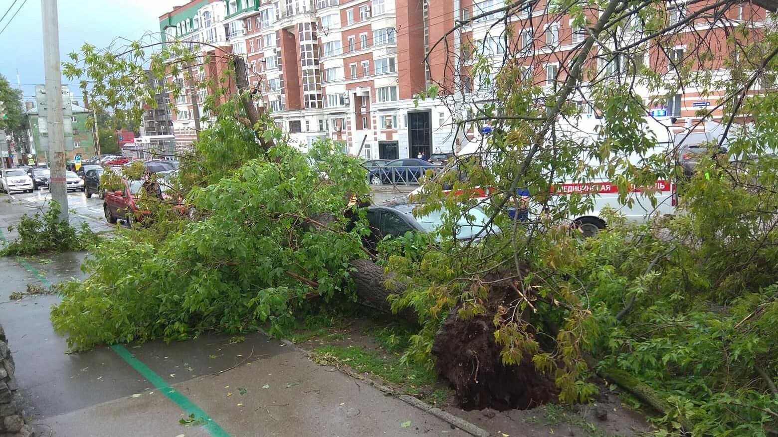 Ураган за пару минут повырывал десятки деревьев в Перми, три человека пострадали. Хроника разрушений