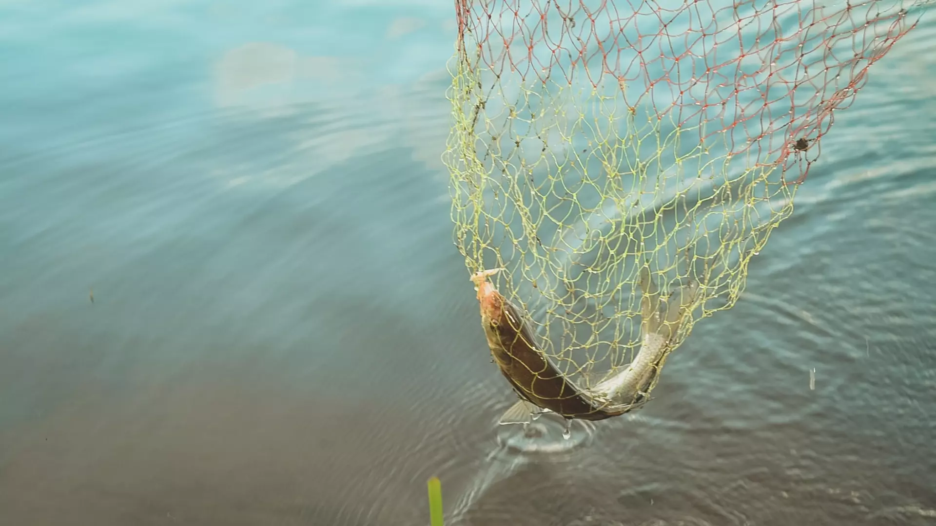 Запрет на рыбалку в 2024 году в Пермском крае: даты и штрафы
