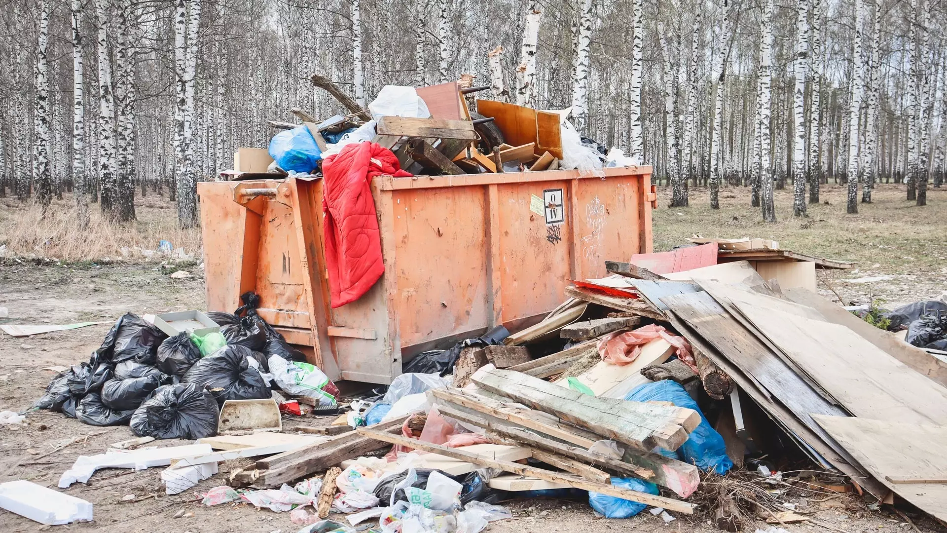 В Пермском крае СНТ выиграли суд у регионального оператора по вывозу мусора