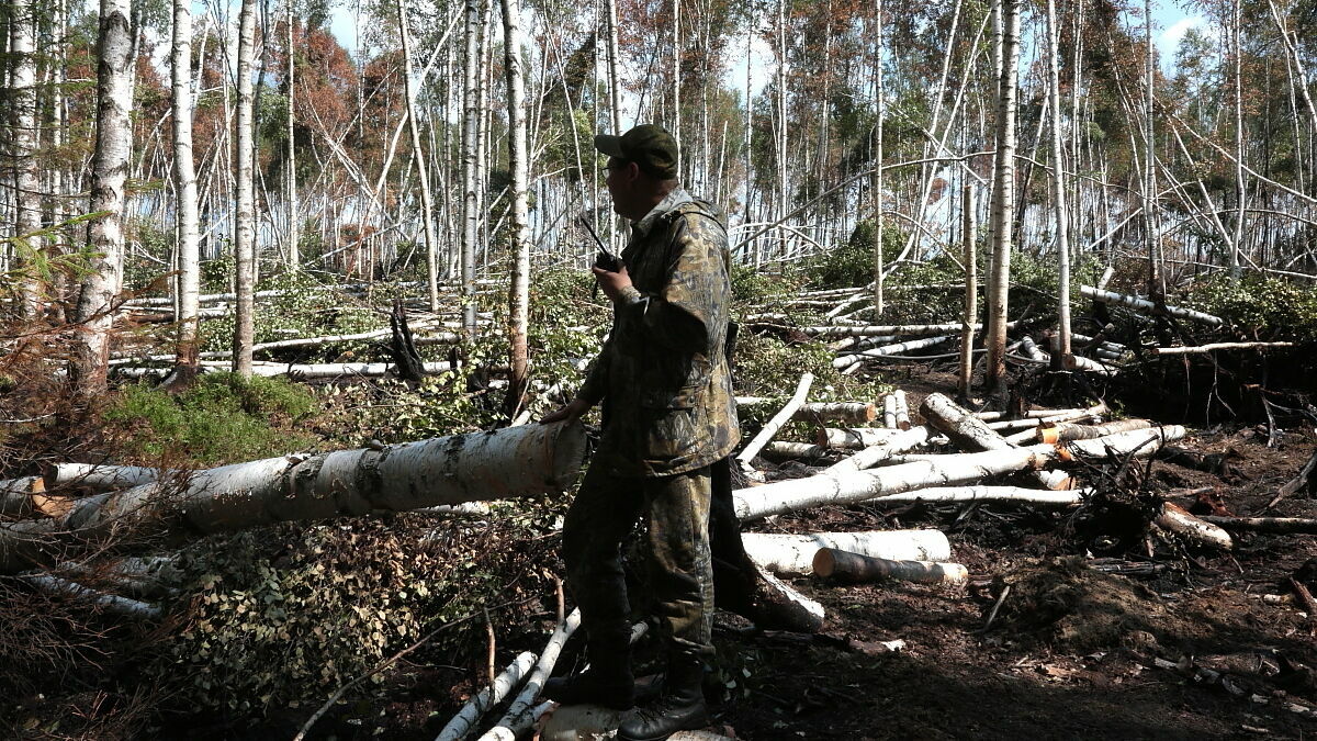 «Пожар нас чуть не обманул и не зашел сзади». Кто целую неделю спасал лес под Краснокамском
