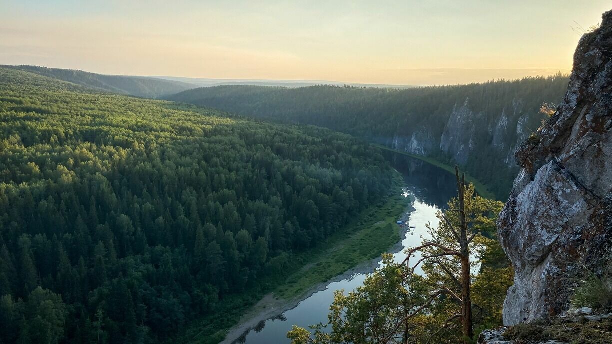 В леса юга и центра Пермского края не будут пускать до 7 мая
