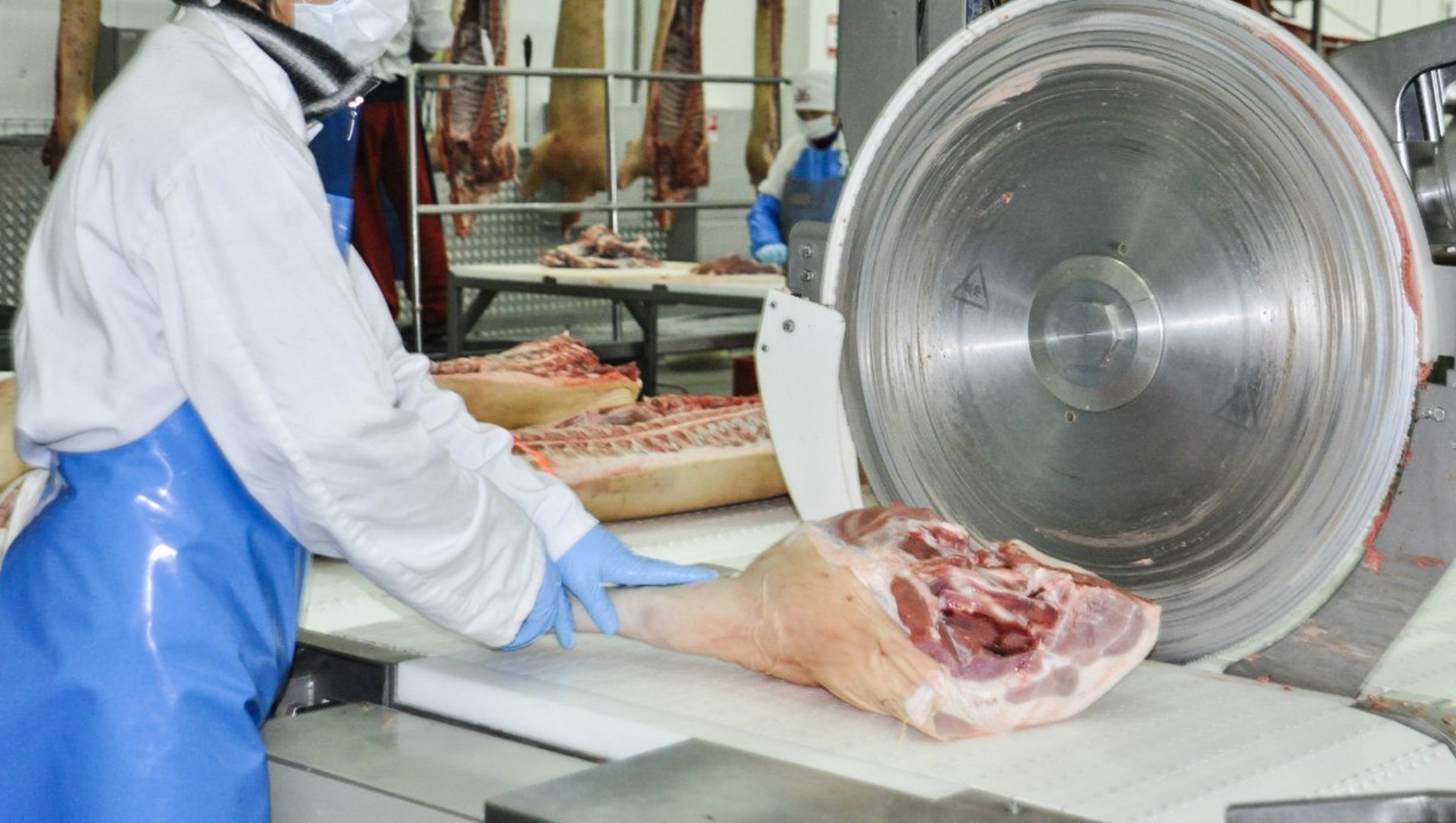 Госинспекция труда проверит безопасность на ЗАО «Агрофирма „Мясо“» в Чайковском