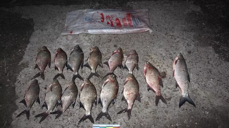 На пермяка завели уголовное дело за отлов рыбы запрещенным способом
