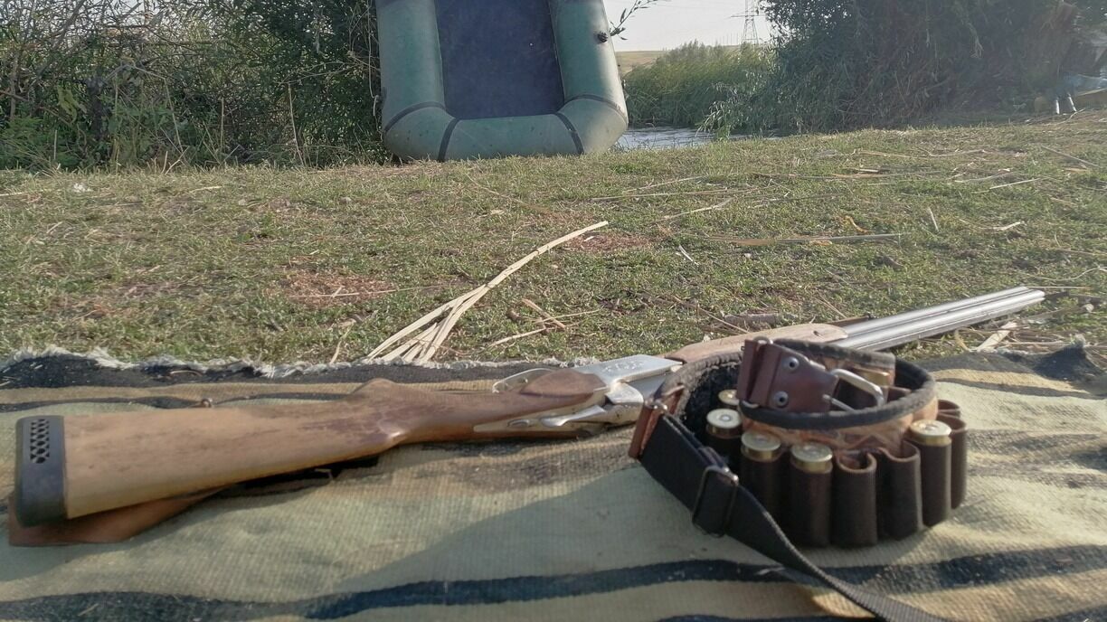 Два верещагинца незаконно застрелили лося
