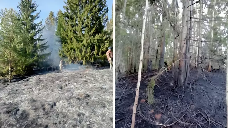 В мае юг Пермского края столкнётся с повышенной пожарной опасностью