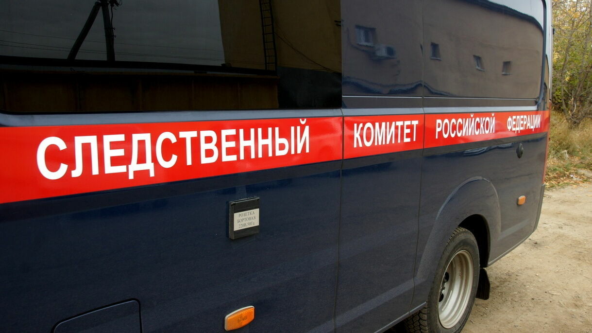 В Краснокамске местный житель осужден за нападение на соседа и его гостя