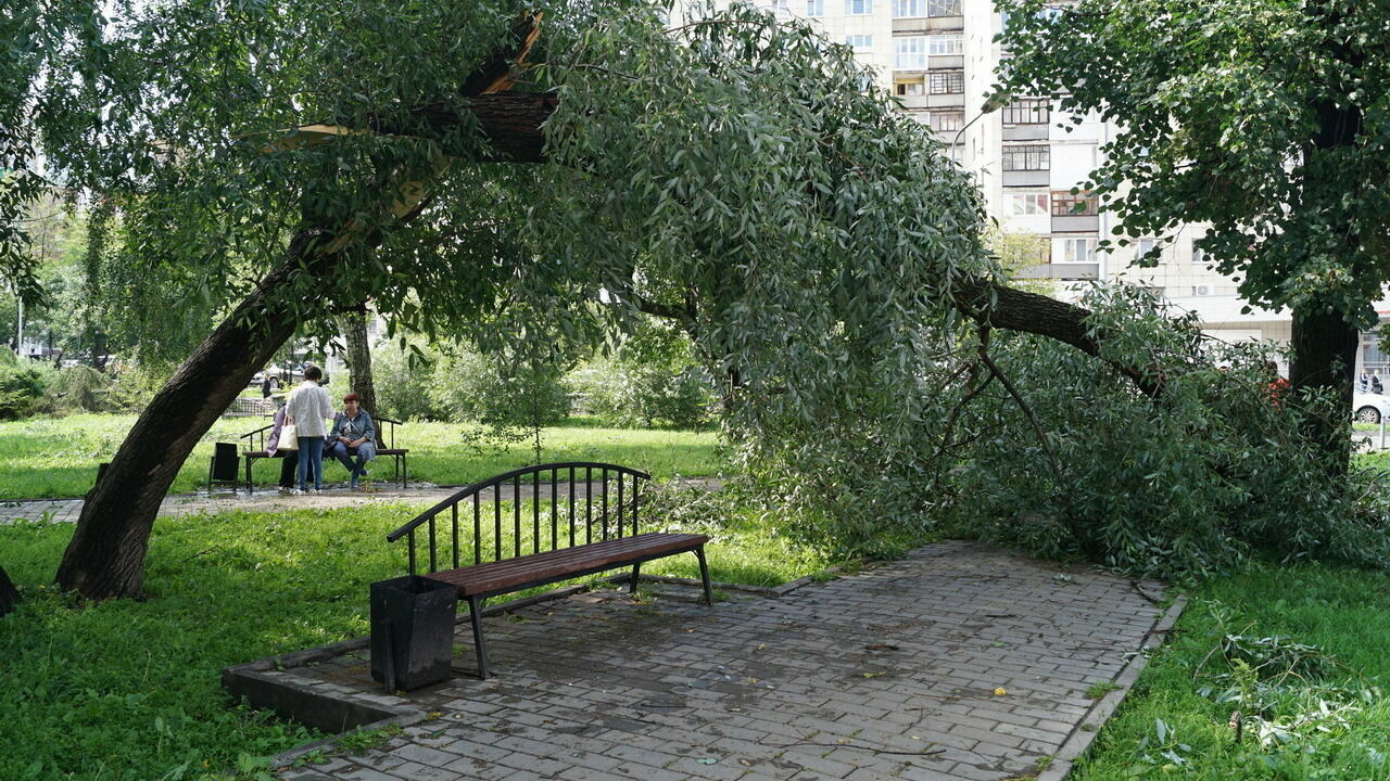 МЧС предупредило о сильных порывах ветра в Прикамье
