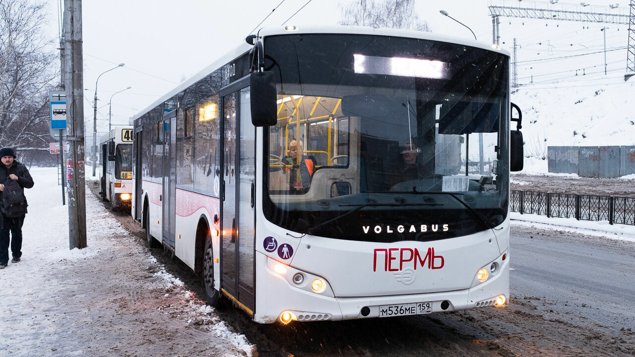 Мэрия Перми купила 85 автобусов Volgabus для «Пермгорэлектротранса»