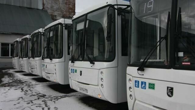 Пермского предпринимателя будут судить за невыплату таможенных пошлин на три автобуса