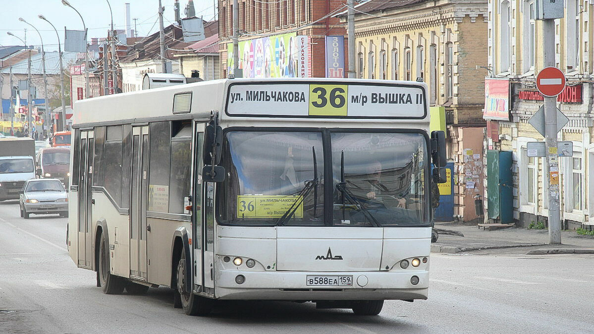 В Перми на 10 автобусных маршрутах введут бесплатные пересадки и безналичную оплату