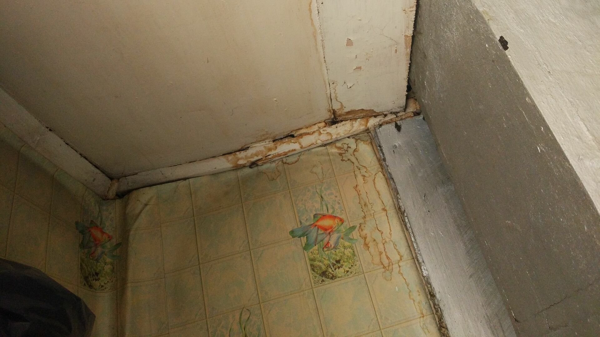 В Прикамье люди пять лет живут в аварийном доме. Чиновники хотели решить проблему, но забыли