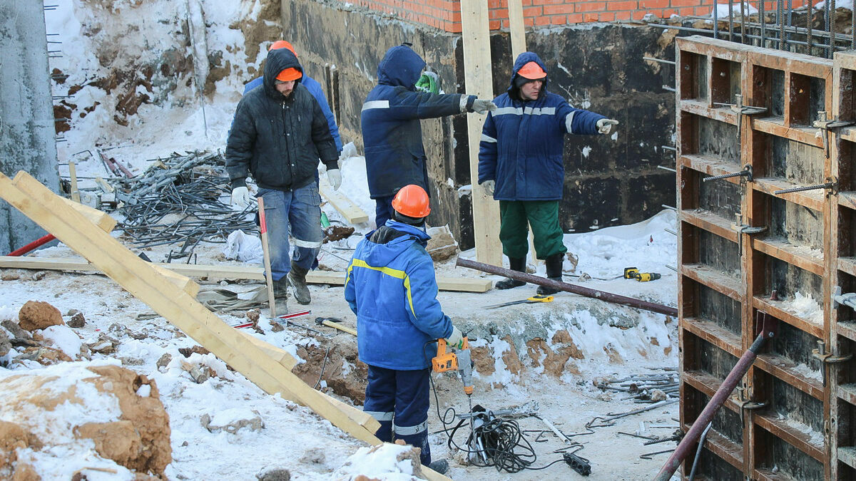 Ущерб при строительстве нового зоопарка в Перми оценили в 1,8 миллиарда рублей