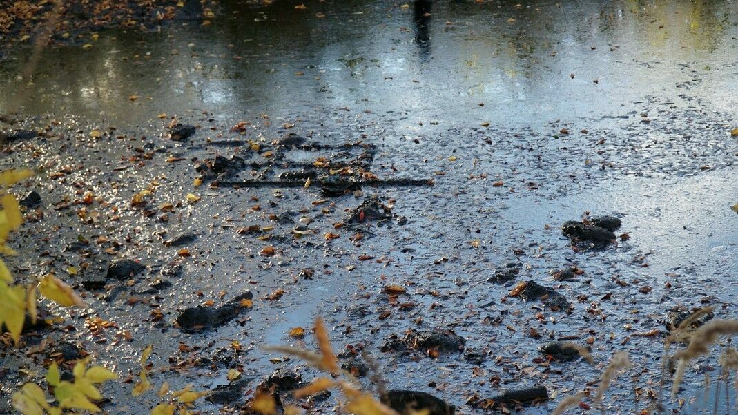 В Прикамье нашли загрязненный почти в 151 раз участок земли