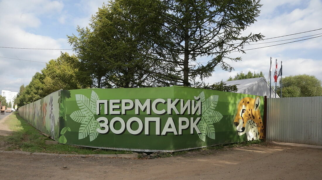 Строительство нового зоопарка в Перми отстает по срокам почти на пять месяцев