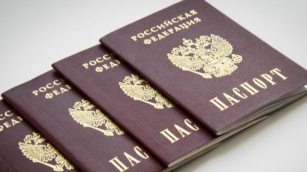 «20 лет не выходит из дома». Жителю Челябинска из-за депрессии заменили паспорт на дому