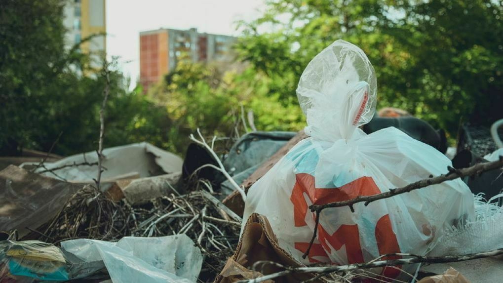 В деревне Ильинского района власти не устанавливали контейнеры для сбора мусора