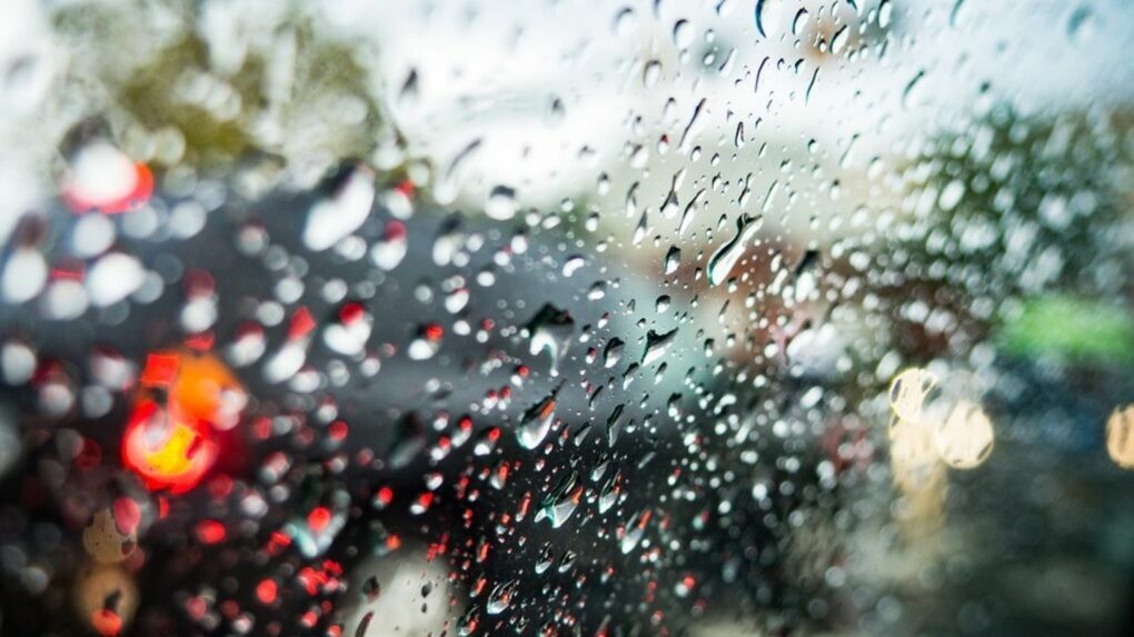 МЧС предупреждает жителей Прикамья о сильном ветре и дожде