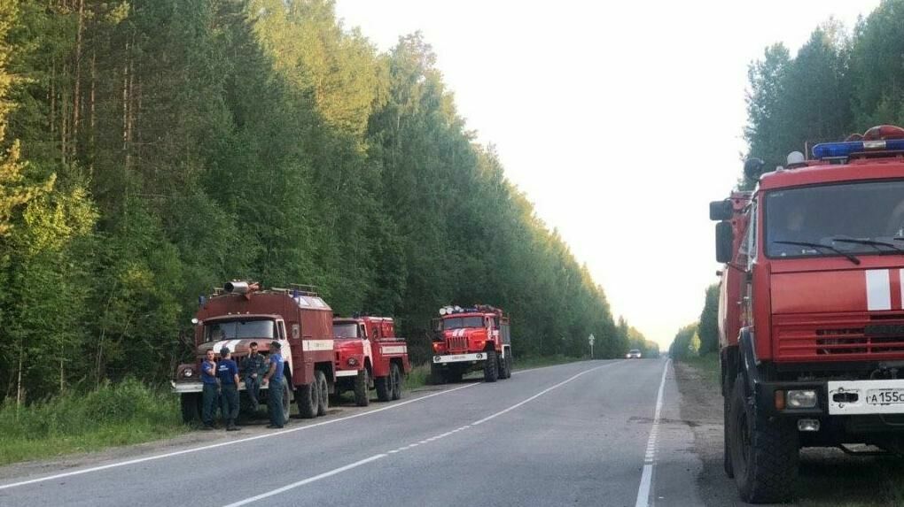 В МЧС сообщили о прекращении лесного пожара под Краснокамском