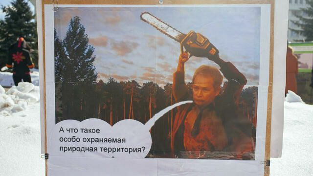 Защитники Черняевского леса вновь выходят на митинг