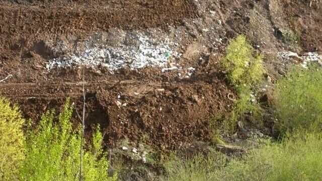 В Прикамье обнаружены пять заброшенных сибиреязвенных скотомогильников