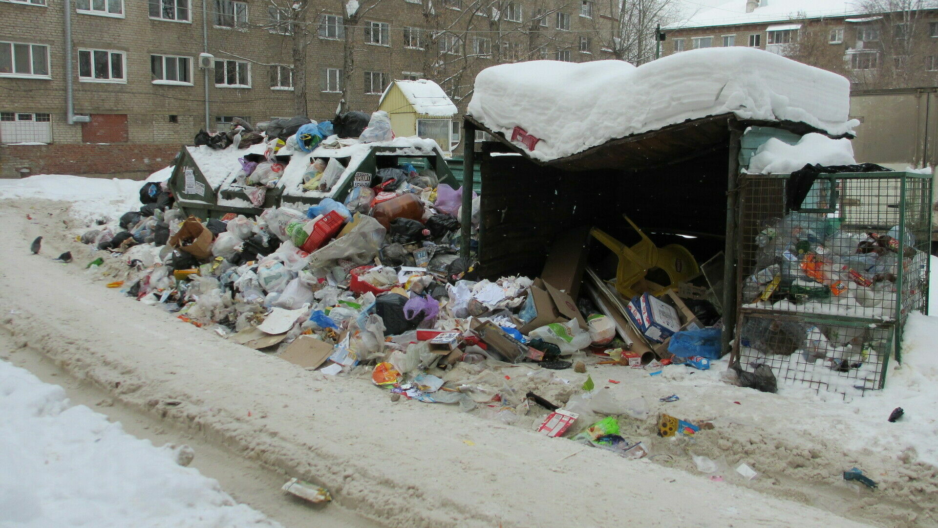 Пермяки жалуются на утопающие в мусоре дворы. «Управляйки» скидывают ответственность на город