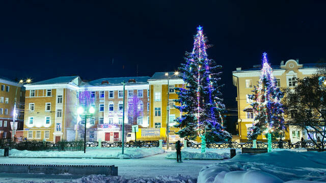 1,5 тысячи новогодних елей Прикамья отправляются в центральные регионы России