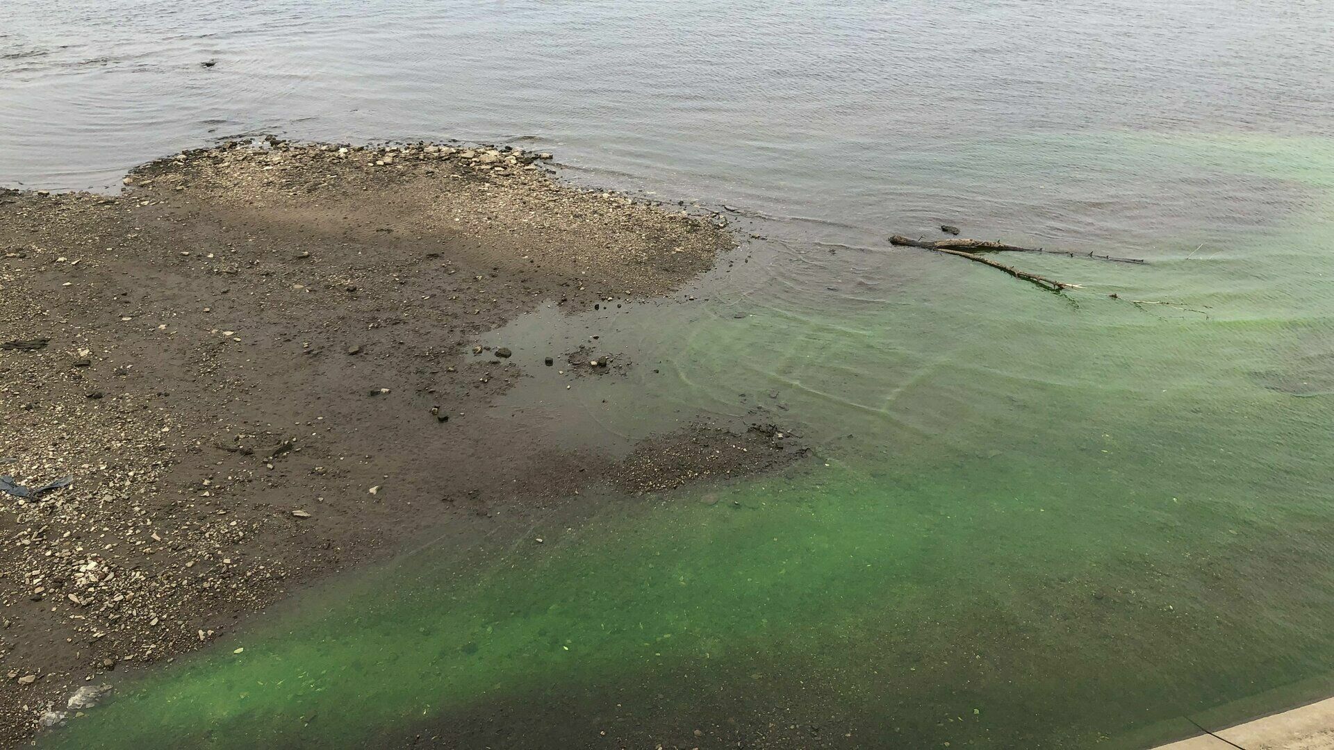 Природоохранная прокуратура обещала проверить зеленые реки в Перми. Результатов все еще нет