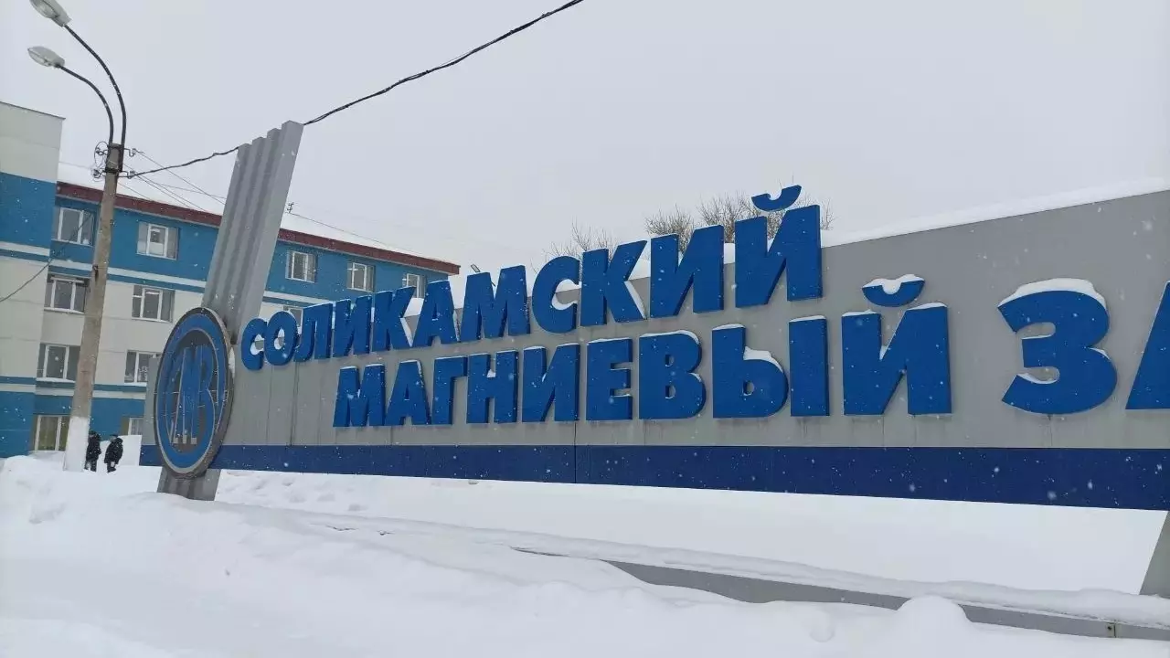 В Перми суд принял жалобу крупнейшего миноритария Соликамского магниевого завода