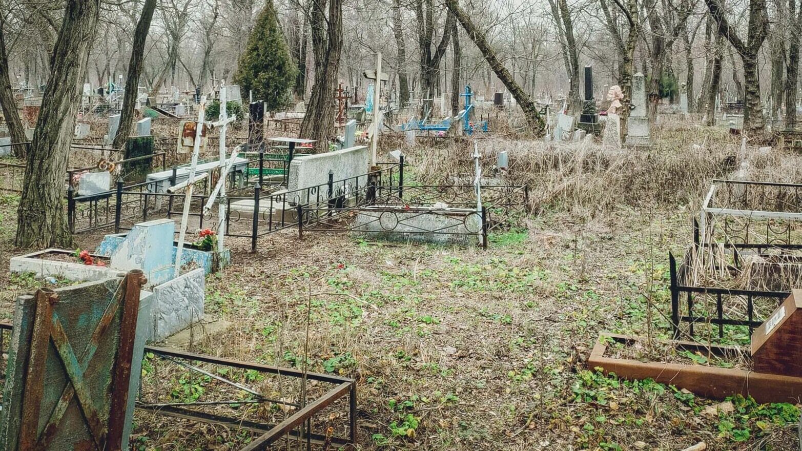 В Прикамье прокуратура потребовала от администрации сделать уборку на кладбище