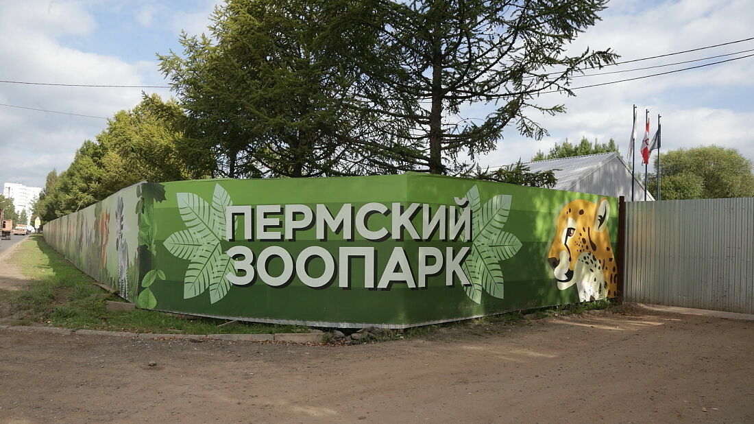 Комиссия отклонила всех кандидатов на пост директора Пермского зоопарка