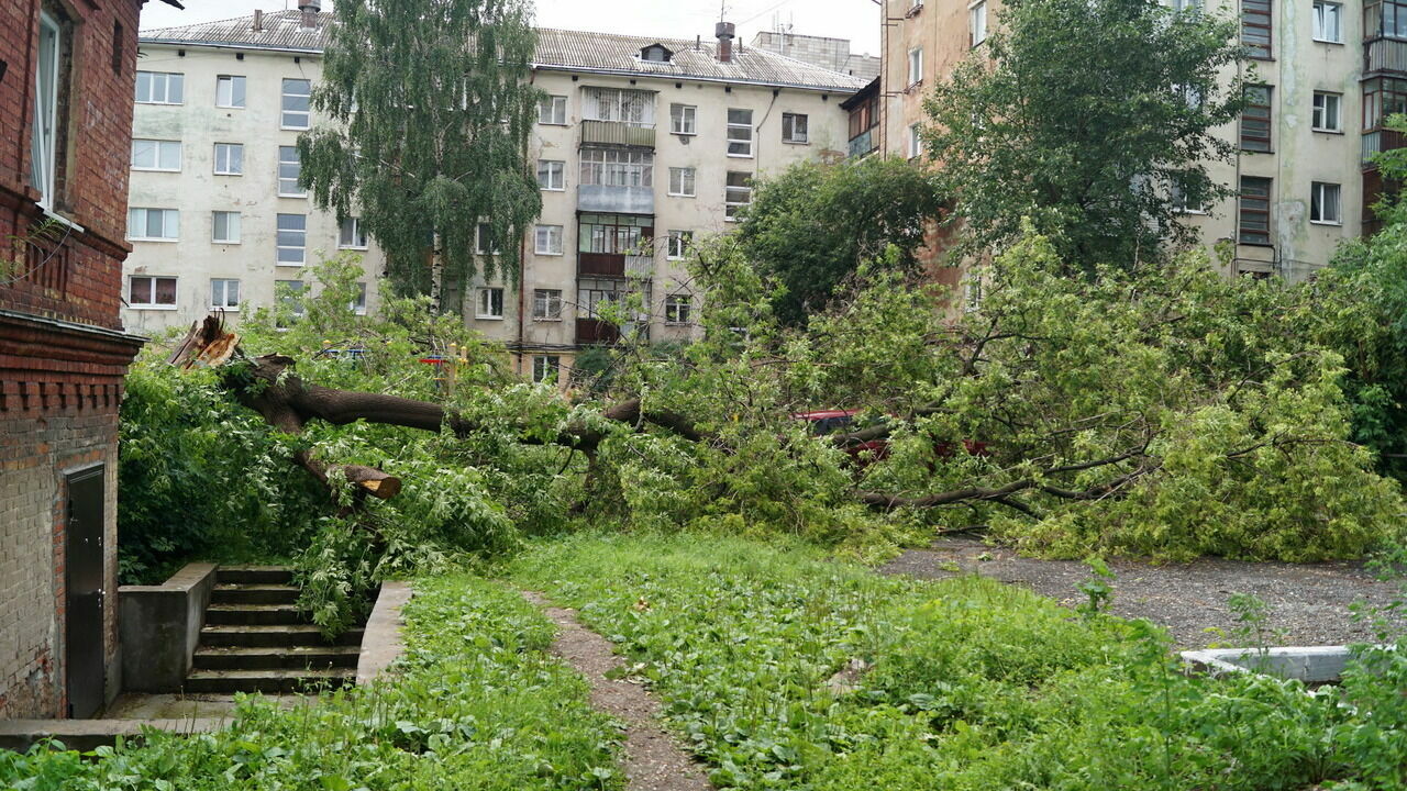 МЧС в 16-ый раз за месяц предупредило о сильном ветре в Пермском крае