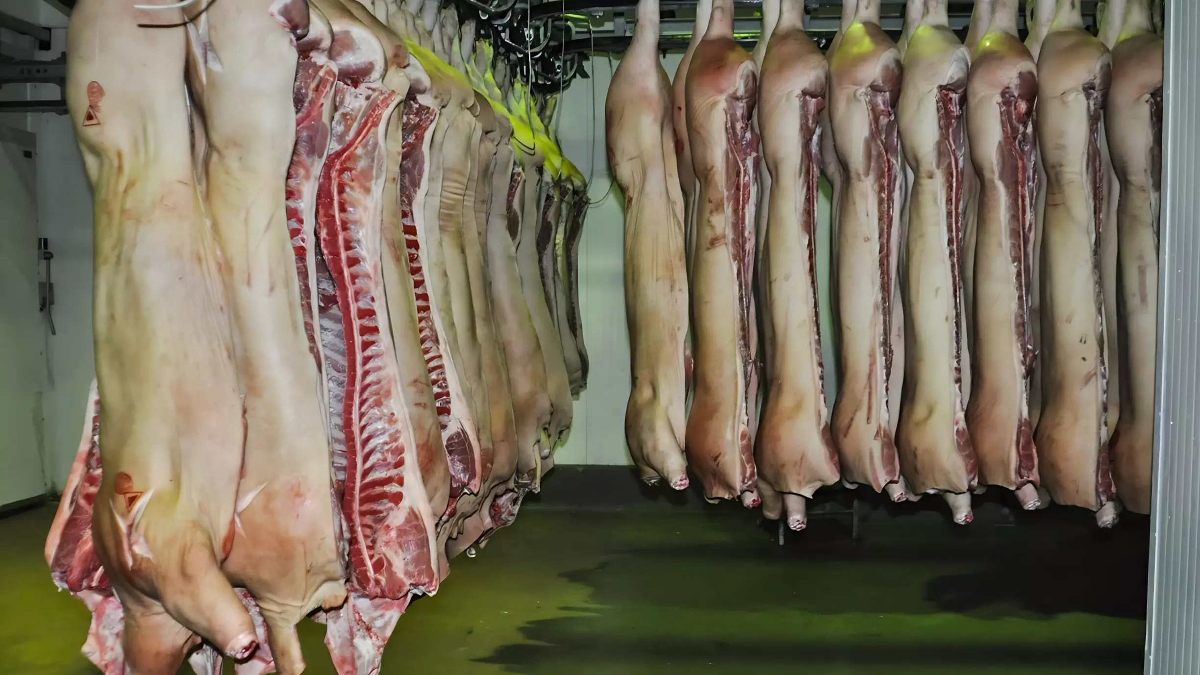 В Прикамье в работе крупного переработчика мяса выявлены серьезные нарушения