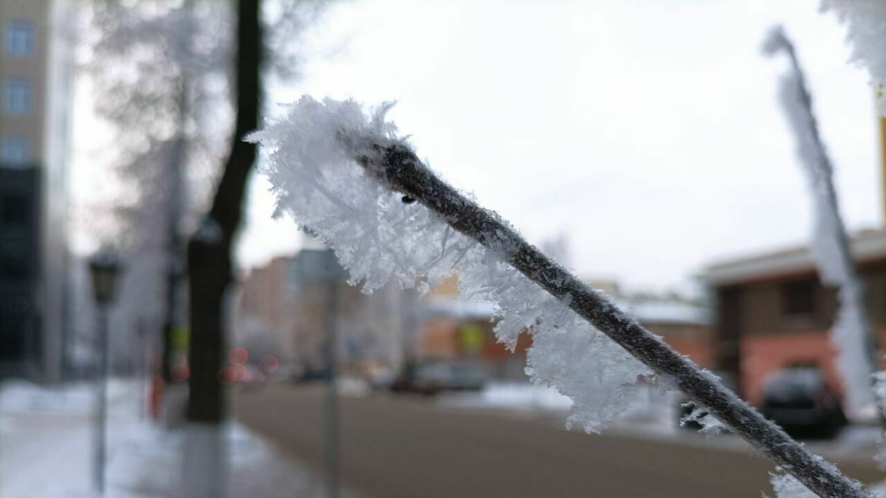 В МЧС предупредили пермяков об изморози и обледенении проводов и деревьев