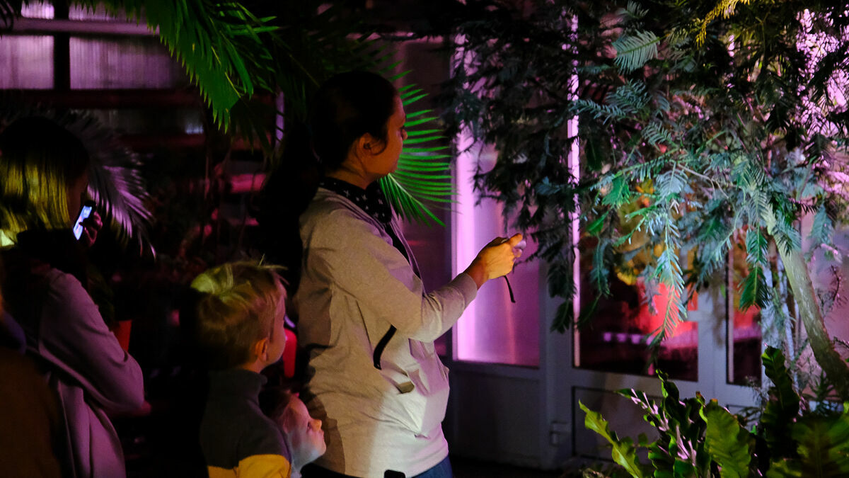 Фоторепортаж с ночной экскурсии в ботанический сад ПГНИУ