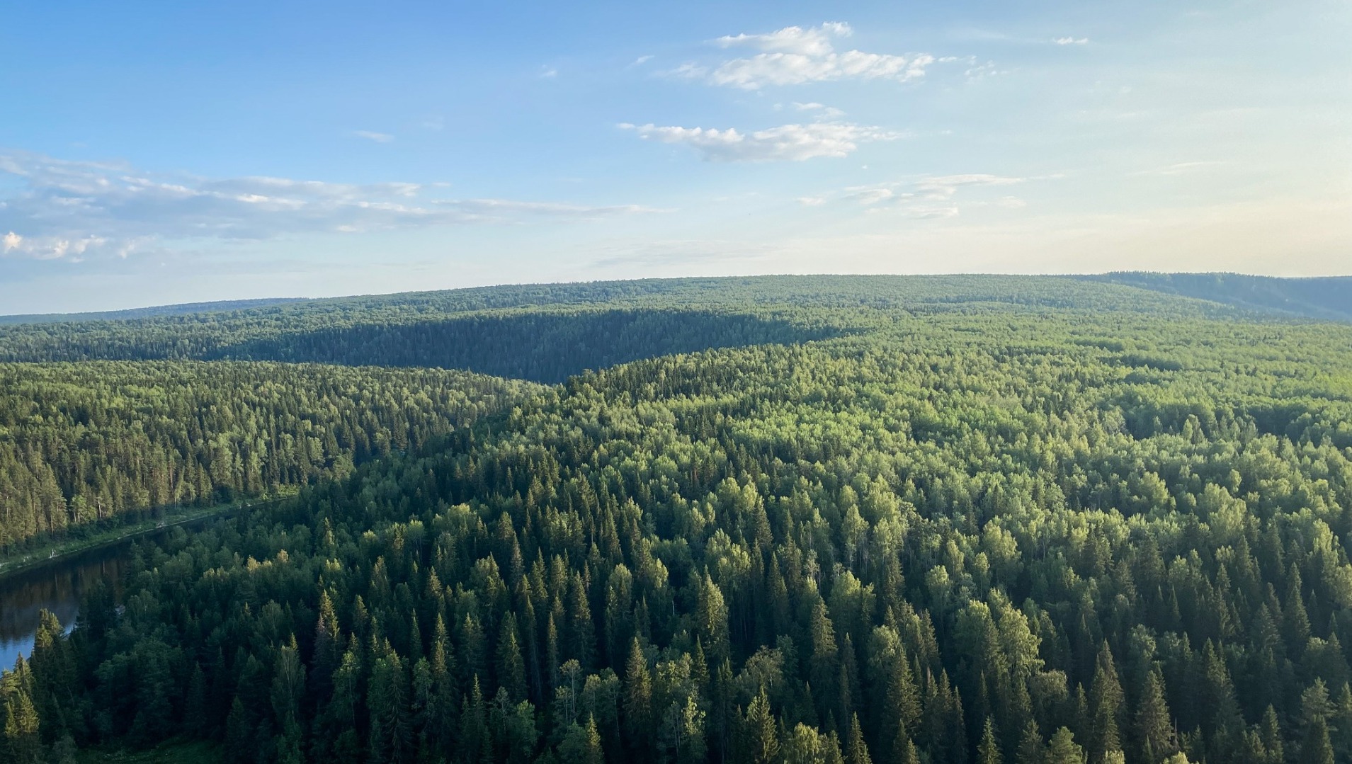 В Пермском крае продлили ограничения на посещение лесов из-за жаркой погоды