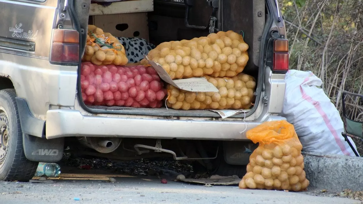 В Прикамье серьезно сократился валовый сбор зерновых и картофеля