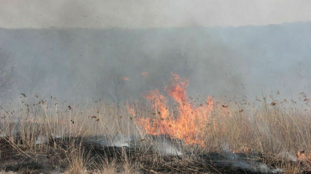 Спасатели предупреждают жителей Пермского края о высокой пожарной опасности