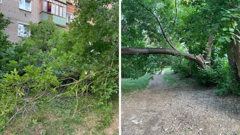 Последствия ливней и сильного ветра в Пермском крае 3 июня