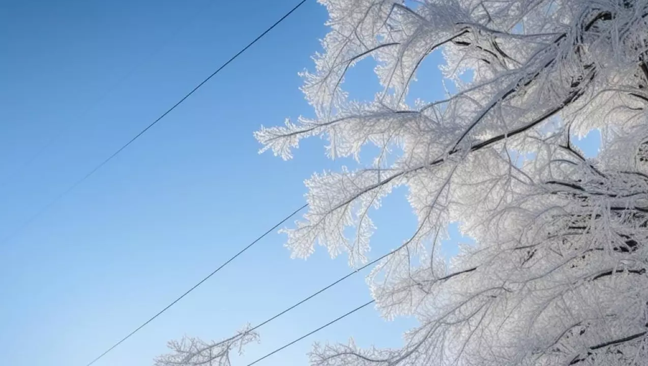 В Прикамье 23 января ожидается изморозь