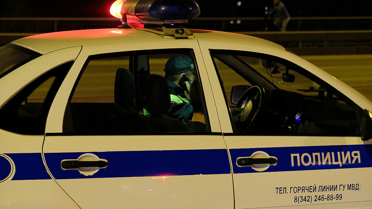 Две пьяные женщины избили полицейского в Прикамье