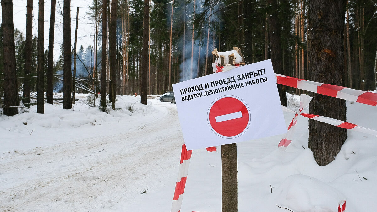 В Кудымкаре прокуроры нашли нарушения в работе лесозаготовителей