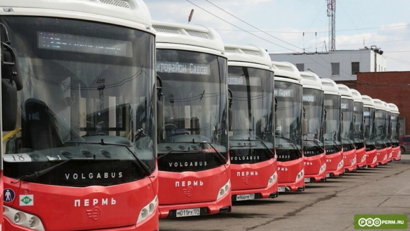 В Перми автобус №50 продлят до микрорайона Парковый