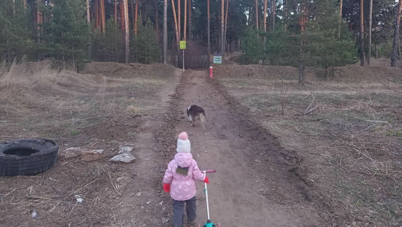Пермяки жалуются на строительные работы в Черняевском лесу