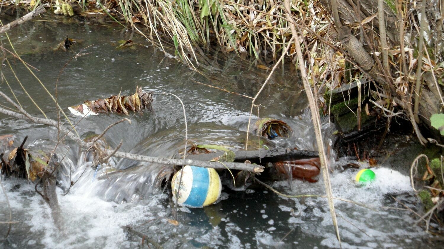 В Перми массово нарушаются водоохранные нормы. Мэр уже получил представление от прокуратуры
