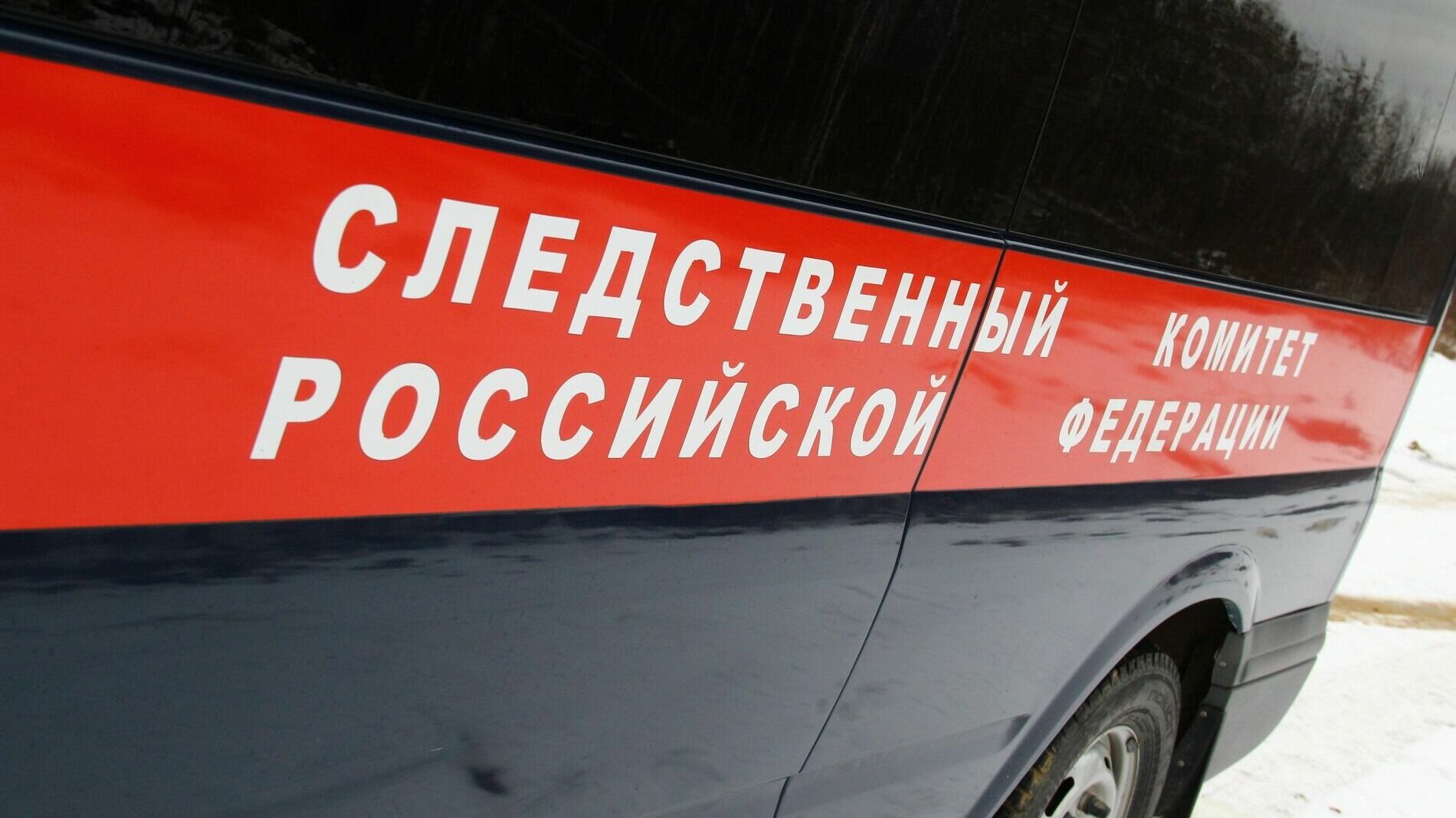 Ребёнок погиб на дологострое в Кировском районе Перми во время кросса на тренировке