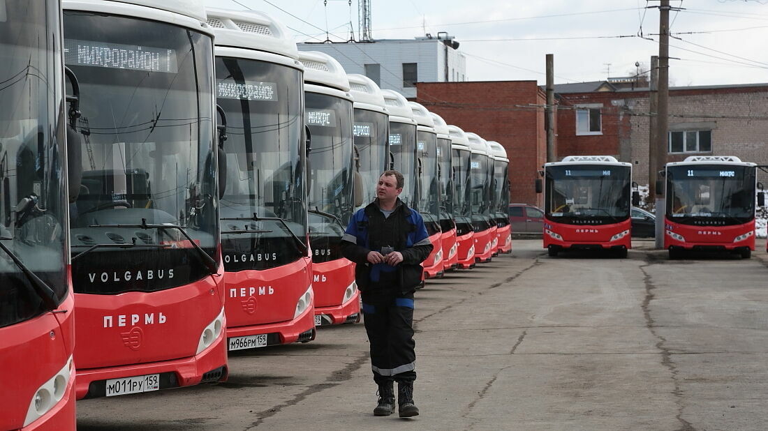 Власти Перми объявили торги на новые автобусные маршруты №30 и №50