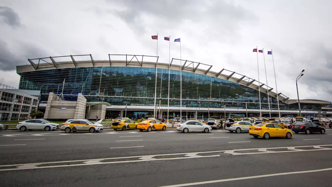 Пермячку в московском аэропорту Внуково сбила машина. Водитель даже не вышел к жертве